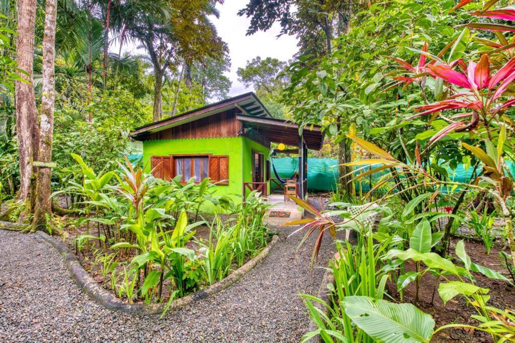 Pachamama Jungle River Lodge - Punta Uva Puerto Viejo de Talamanca Exterior photo