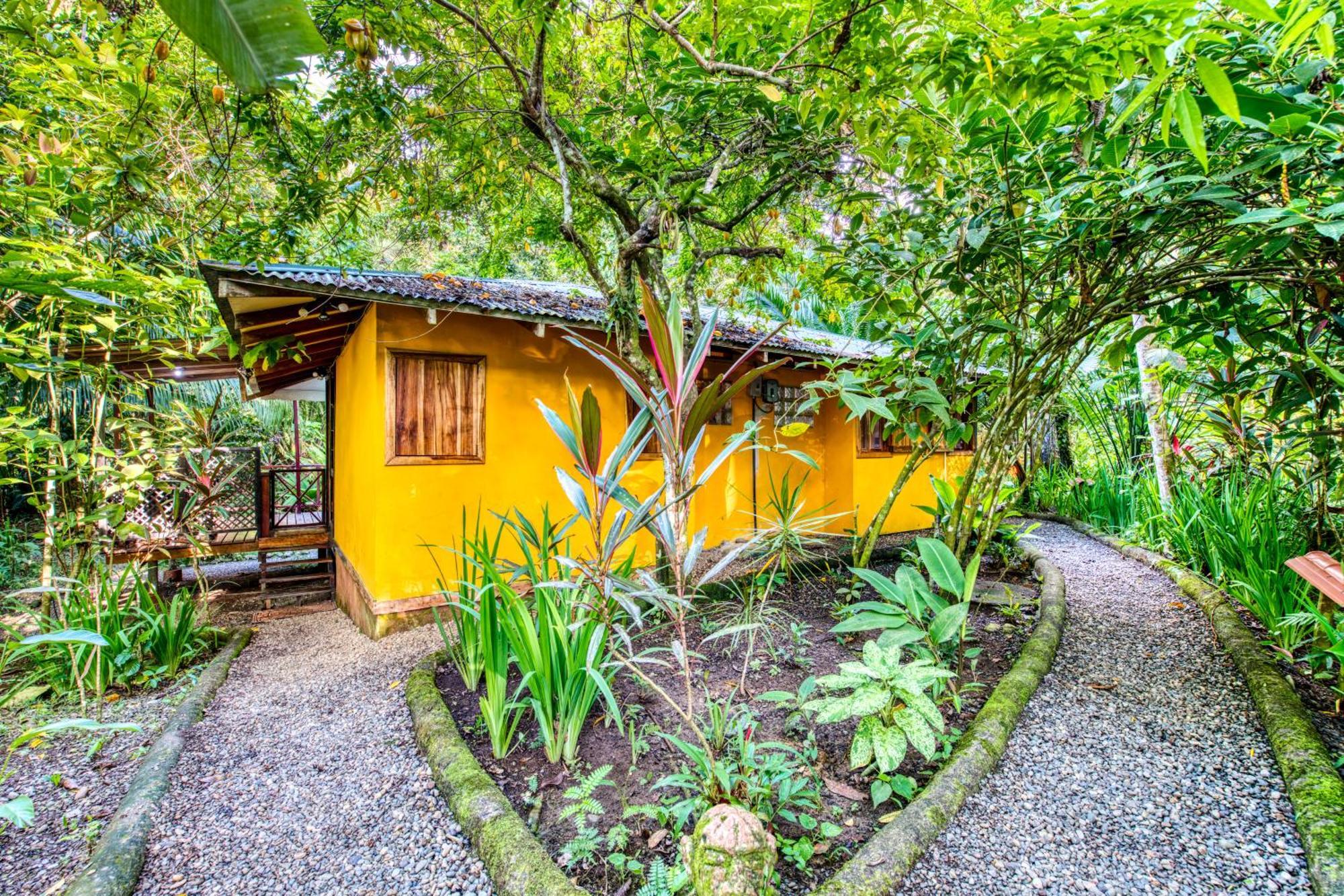 Pachamama Jungle River Lodge - Punta Uva Puerto Viejo de Talamanca Exterior photo