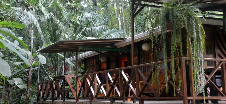 Pachamama Jungle River Lodge - Punta Uva Puerto Viejo de Talamanca Exterior photo