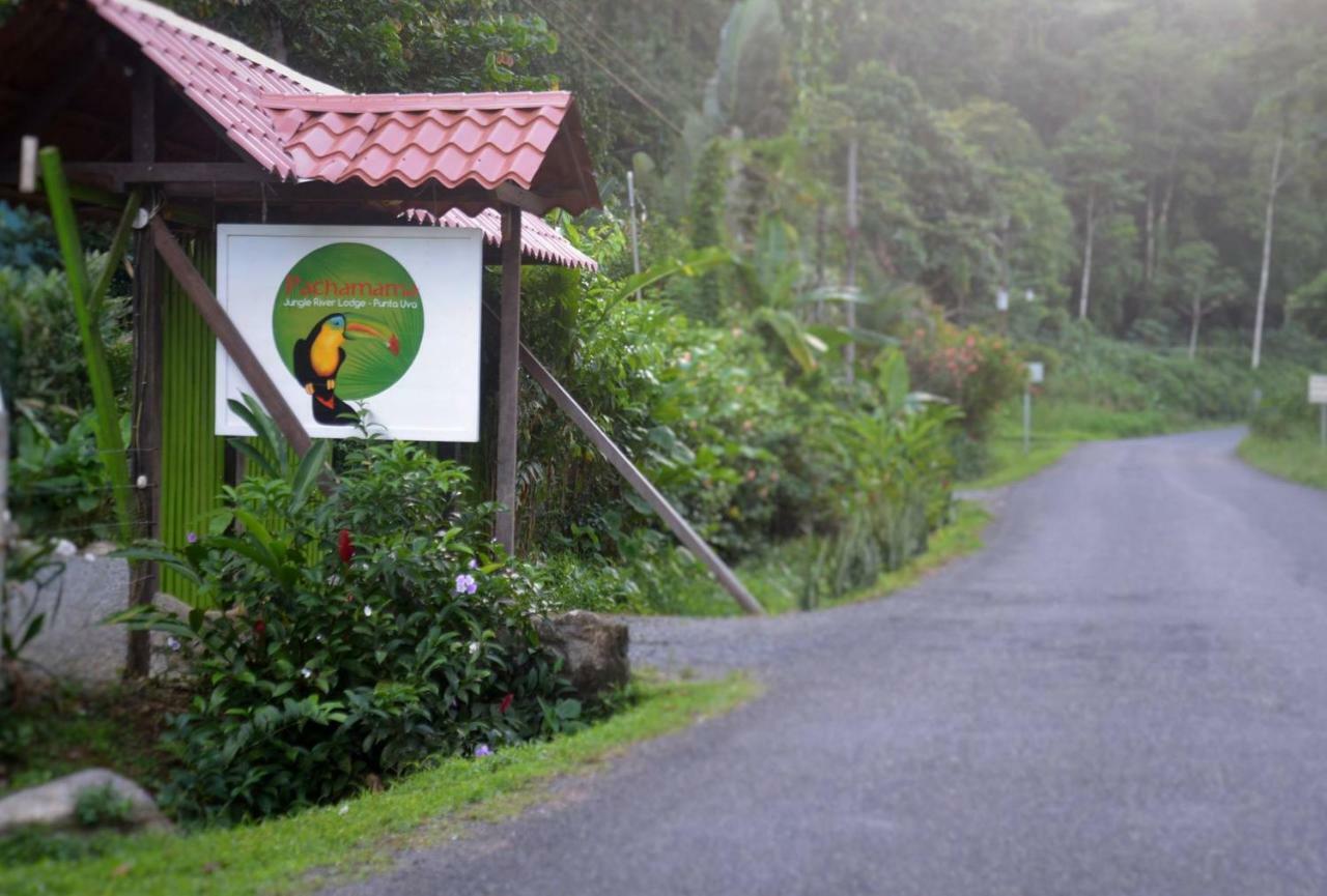 Pachamama Jungle River Lodge - Punta Uva Puerto Viejo de Talamanca Exterior photo